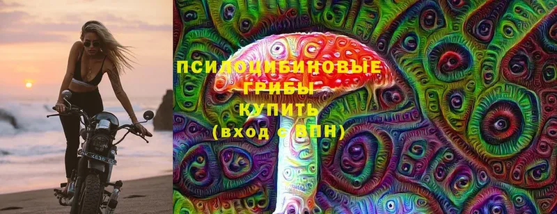 blacksprut маркетплейс  Соликамск  Псилоцибиновые грибы Cubensis 